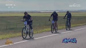 博彩政策的制度红利（博彩政策释放的制度红利）